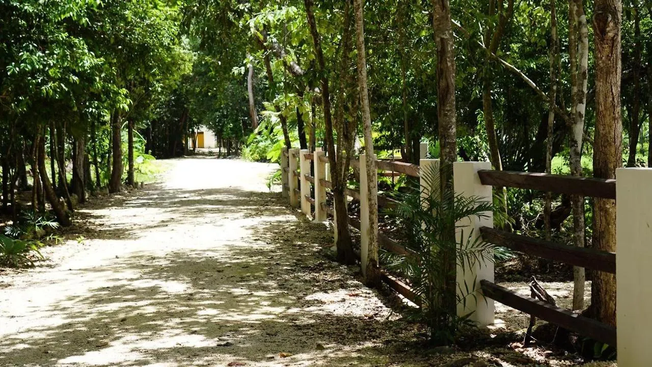 Casa Driada Leona Vicario 0*,